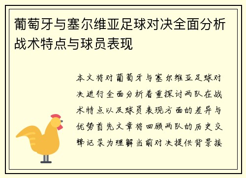 葡萄牙与塞尔维亚足球对决全面分析战术特点与球员表现